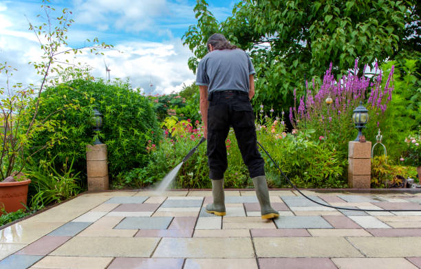 Best Roof Cleaning and Mildew Removal in Narberth, PA